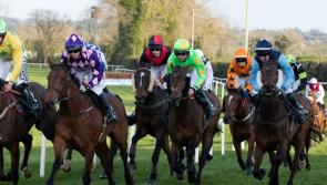 Final meeting at racetrack on Offaly border this Friday