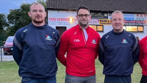 The Cork man trying to lead Shamrocks back up the hurling ladder