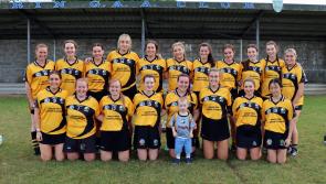 St Sinchill's and Kinnitty serve up lively draw in Offaly Camogie Intermediate Cup