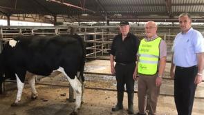 Bullock sold in Offaly mart for Midlands hospice fundraiser