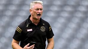 Johnny Kelly appointed as Offaly senior hurling manager