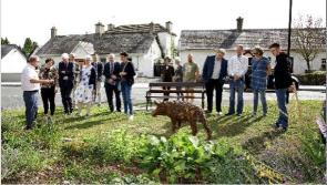 Three Offaly villages to represent county in Pride of Place contest