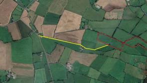 Offaly land expected to fetch top price at public auction 