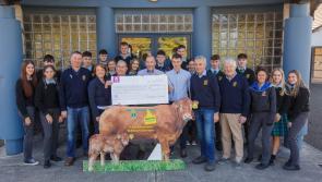 Local College provides support for the Hooves 4 Hospice project