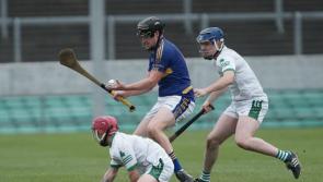 Relieved Crinkill hold on for deserved win in Junior B Hurling Championship Final