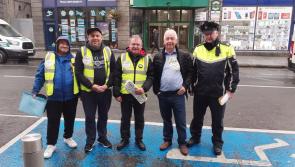 Make Way Day 2022 raised awareness of disability issues in Offaly