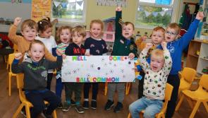 Offaly area celebrates football success in style