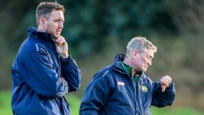 New Offaly senior hurling manager sets sight on promotion and Joe McDonagh Cup
