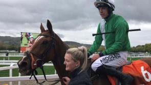Cheltenham success for Offaly led syndicate