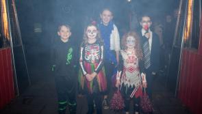 Halloween festival on an epic scale in Offaly town