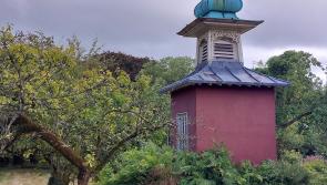 Legacy of outstanding gardener will live on in Shinrone