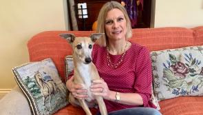 Pet owners should be ‘scare aware’ this Halloween says Offaly based Minister