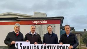 €4.5-million investment in new 'urban street' for Roscrea welcomed by local representatives