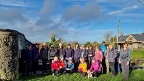 Join Roscrea Trail Blazers for a walk on Birr's new route