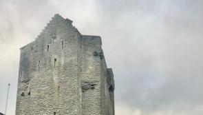 Campaign to reverse OPW decision on Roscrea Castle executions commemoration