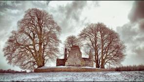 Roscrea's Monaincha Abbey among sites receiving funding