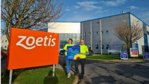 Fundraisers support duo's 12 peaks challenge bid in aid of Offaly Hospice
