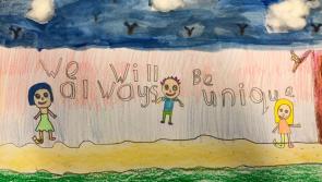 Offaly winners in prestigious national art competition announced