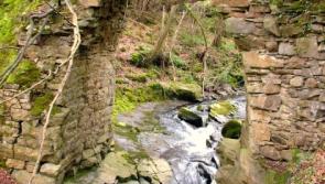 Historic Cadamstown bridge still hidden behind scaffolding after years