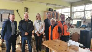 Financial boost of €2,000 for each of nine Men's Sheds in Offaly 