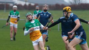 Impressive Offaly march into quarter-finals with emphatic win