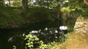 Clara's Brosna is a 'forgotten gem'