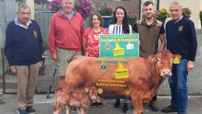 Offaly business's raffle raises over €6,000 for Hooves for Hospice