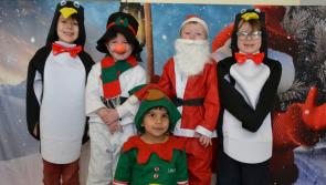 Are you ready to ‘move it, move it’ with Offaly School's production of Madagascar the Musical?