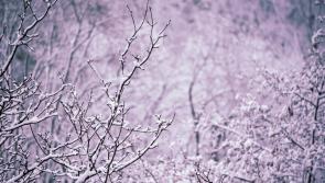 What is the latest Met Eireann weather forecast for Christmas?