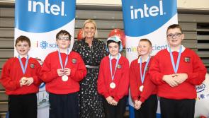 Offaly mini scientists share their big ideas
