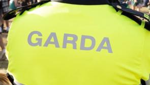 Gardaí issue appeal after serious assault on man walking his dog in the Midlands