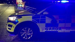 Gardaí seize vehicles and cannabis and arrest two drivers in Moneygall on Christmas Eve