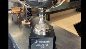 New Zealand hurling trophy named in memory of late Offaly man