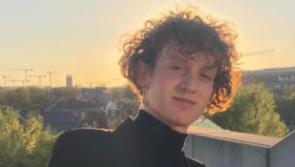 Garda update as hunt goes on for hit-and-run motorist who killed Midlands student
