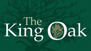 The King Oak - JANUARY MADNESS SALE!