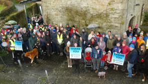 PICTURES: Roscrea Wren Walk returns to Fancroft Mill