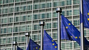 EDITORIAL: EU membership has transformed Ireland for the better