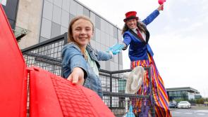 Free collection days in Offaly towns' for electrical waste