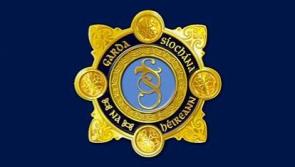 Nominations sought for Laois/ Offaly garda youth awards
