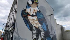 Roscrea will benefit from Council's mural scheme