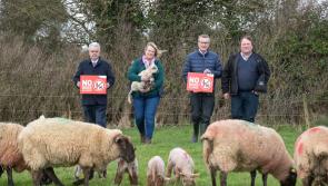 IFA's 'No Dogs Allowed' campaign launched on Offaly farm