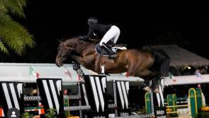 Offaly's Darragh Kenny claims second place in five star event in Florida