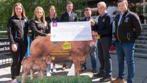 Offaly based Hooves4Hospice project receives €30,000 boost from UCD students