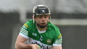 Promotion in sight as Offaly hurlers aim for revenge against Carlow