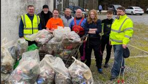 Two traffic cones among rubbish taken from canal in Offaly by Tidy Towns group