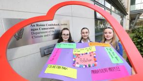 Seven lives a year in Offaly could be saved claims air pollution report