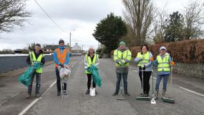 Tidy Towns group make solid start to 2023 village clean-up