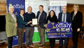 Award winning Offaly area honoured by council