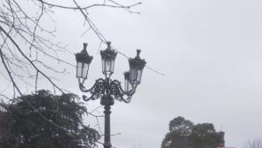 Roscrea’s Glebe Park users will finally ‘see the light’ - Lee