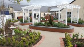 Multi sensory garden opened in Birr Community Nursing Unit